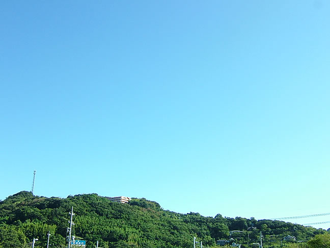 2010N914i΁jgʐ^AHłAƉ_̎ʐ^łB