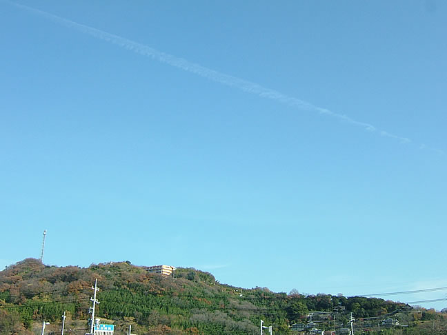 2010N1212ijgʐ^Aǂ܂AƉ_̎ʐ^łB