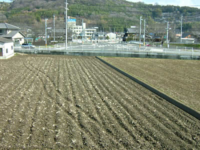 窓からの景色です。