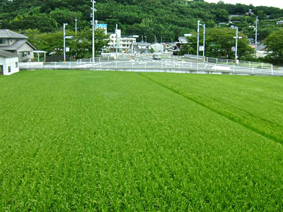 2011年9月5日（月）窓からの景色の拡大写真です。