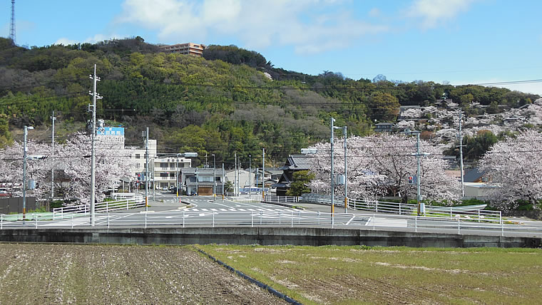 2014年4月4日（金）倉敷しのちゃんの空と雲「拡大写真」、（箆取神社の桜）桜-４１の写真です。