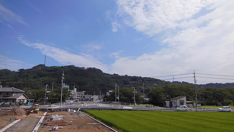 2014N95ijq~̂̋Ɖ_A̎ʐ^łB