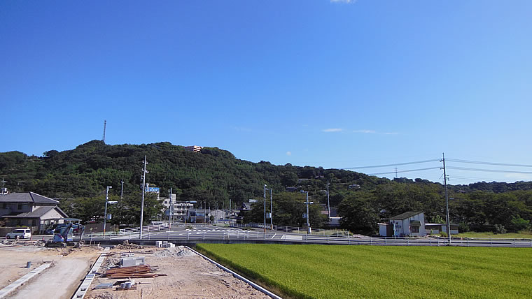 2014N913iyjq~̂̋Ɖ_A̎ʐ^łB