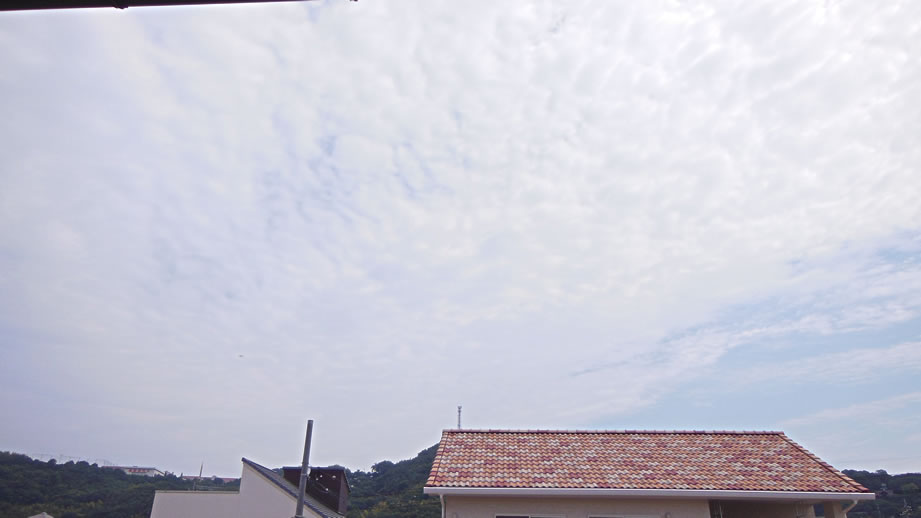 2015N530iyjq~̂̋Ɖ_A̎ʐ^łB