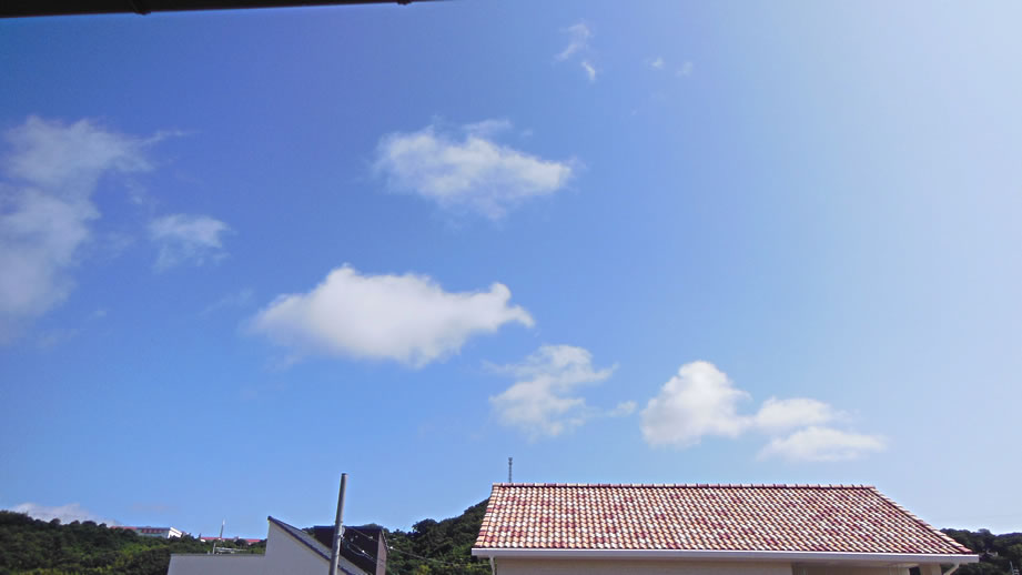 2015N621ijq~̂̋Ɖ_A̎ʐ^łB