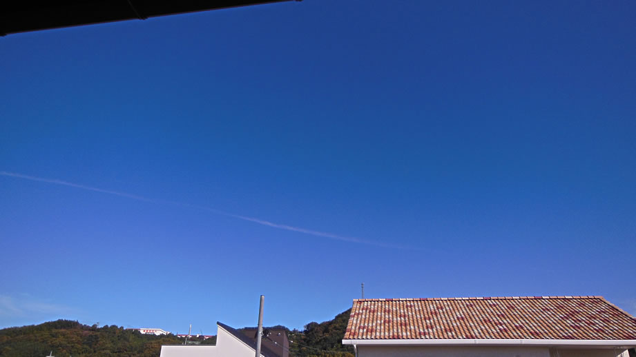 2015N1111ijq~̂̋Ɖ_Ågʐ^łB