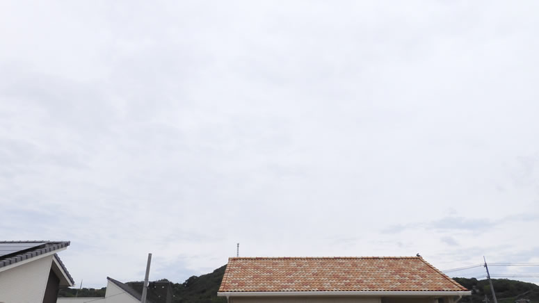 2025N530ijq~̂uƉ_v̊gʐ^ł