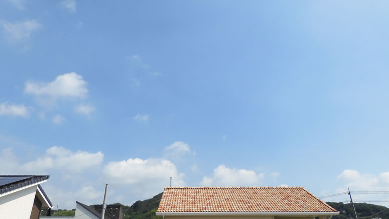 2025N817ijq~̂uƉ_v̊gʐ^ł