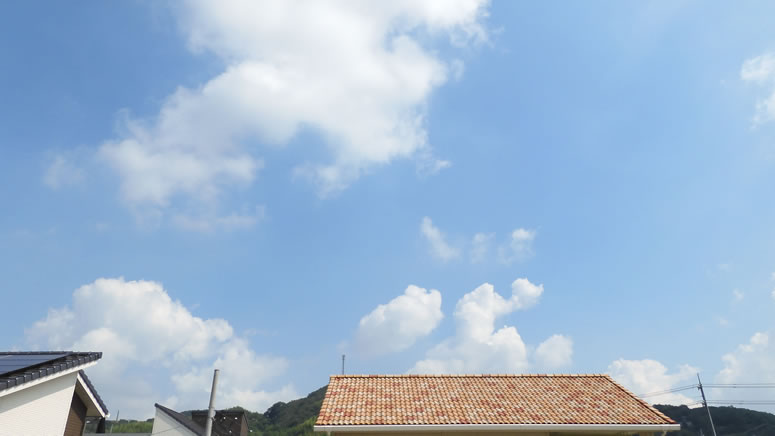 2025N818ijq~̂uƉ_v̊gʐ^ł