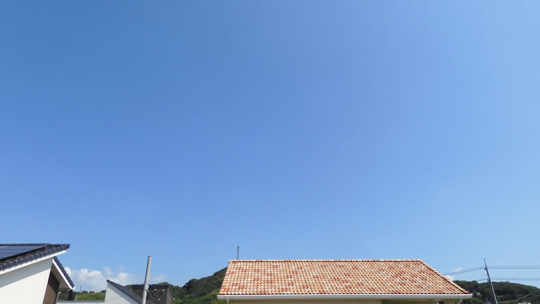 2025N819i΁jq~̂uƉ_v̊gʐ^ł