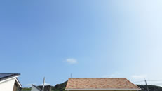 2025N820ijq~̂́uƉ_v̎ʐ^ł