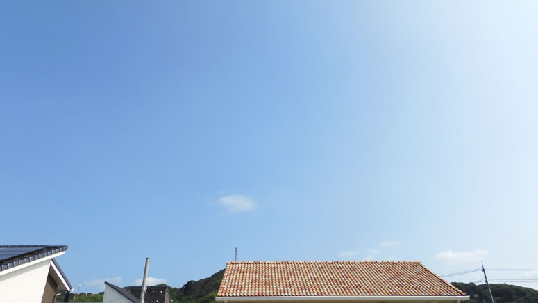 2025N820ijq~̂uƉ_v̊gʐ^ł