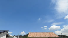 2025N821i؁jq~̂́uƉ_v̎ʐ^ł