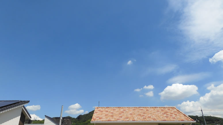 2025N821i؁jq~̂uƉ_v̊gʐ^ł