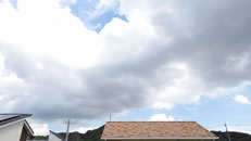 2025N822ijq~̂́uƉ_v̎ʐ^ł