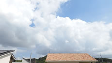 2025N823iyjq~̂́uƉ_v̎ʐ^ł