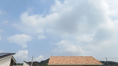 2025N824ijq~̂́uƉ_v̎ʐ^ł