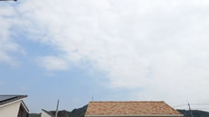 2025N826i΁jq~̂́uƉ_v̎ʐ^ł