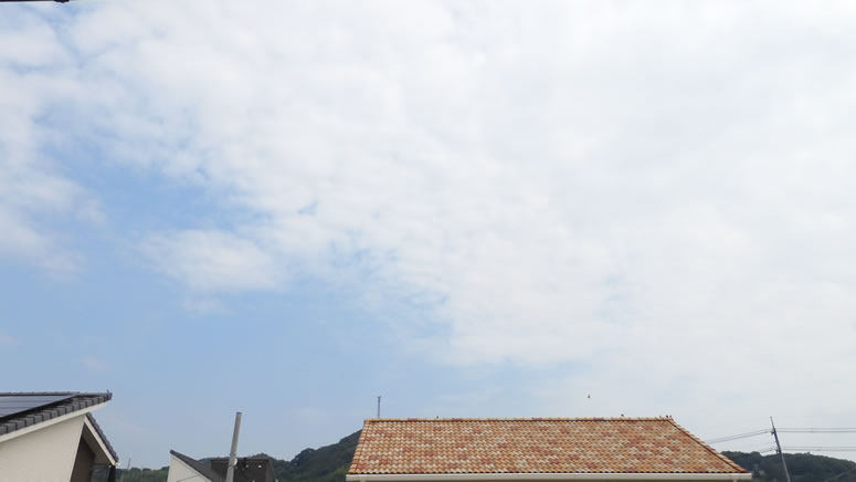 2025N826i΁jq~̂uƉ_v̊gʐ^ł