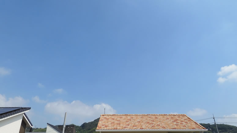 2025N830iyjq~̂uƉ_v̊gʐ^ł