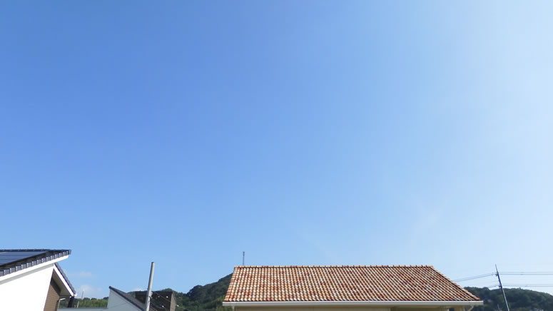 2025N829ijq~̂uƉ_v̊gʐ^ł