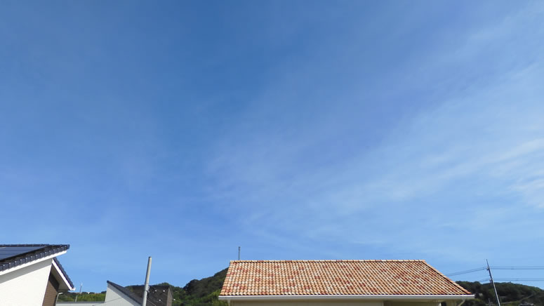 2025N96iyjq~̂uƉ_v̊gʐ^ł