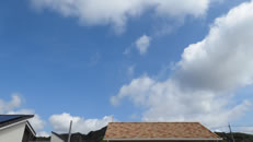 2025N911i؁jq~̂́uƉ_v̎ʐ^ł