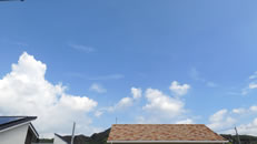 2025N915ijq~̂́uƉ_v̎ʐ^ł