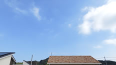 2025N916i΁jq~̂́uƉ_v̎ʐ^ł