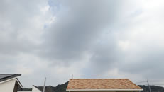 2025N917ijq~̂́uƉ_v̎ʐ^ł