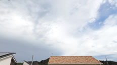 2025N918i؁jq~̂́uƉ_v̎ʐ^ł