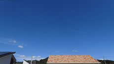 2025N919ijq~̂́uƉ_v̎ʐ^ł