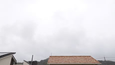 2025N925i؁jq~̂́uƉ_v̎ʐ^ł