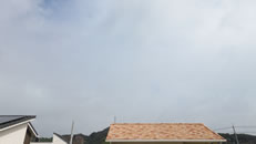 2025N926ijq~̂́uƉ_v̎ʐ^ł