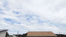 2025N929ijq~̂́uƉ_v̎ʐ^ł