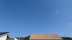 2025N101ijq~̂́uƉ_v̎ʐ^ł