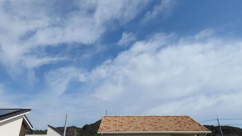 2025N102i؁jq~̂uƉ_v̊gʐ^ł