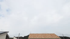 2025N104iyjq~̂́uƉ_v̎ʐ^ł