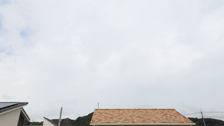 2025N104iyjq~̂uƉ_v̊gʐ^ł