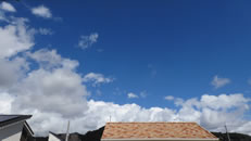 2025N105ijq~̂́uƉ_v̎ʐ^ł