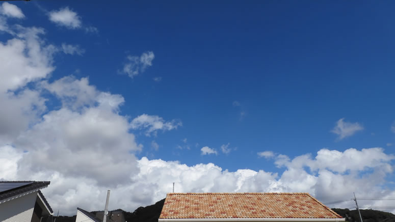 2025N105ijq~̂uƉ_v̊gʐ^ł