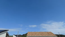 2025N107i΁jq~̂́uƉ_v̎ʐ^ł