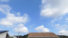 2025N108ijq~̂́uƉ_v̎ʐ^ł