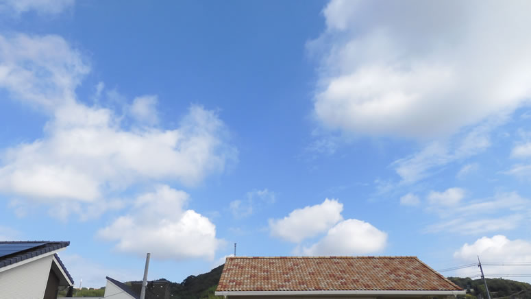 2025N108ijq~̂uƉ_v̊gʐ^ł