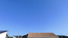 2025N109i؁jq~̂́uƉ_v̎ʐ^ł