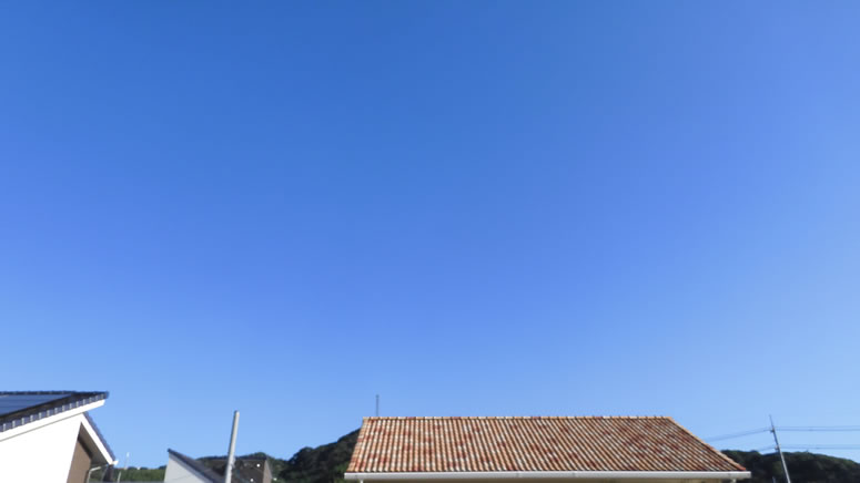 2025N109i؁jq~̂uƉ_v̊gʐ^ł