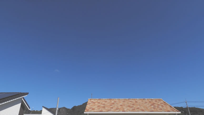 2025N1010ijq~̂uƉ_v̊gʐ^ł