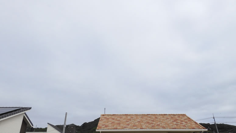 2025N1011iyjq~̂uƉ_v̊gʐ^ł