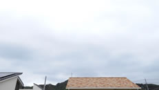 2025N1012iyjq~̂́uƉ_v̎ʐ^ł