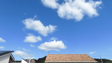 2025N1013ijX|[c̓Aq~̂́uƉ_v̎ʐ^ł